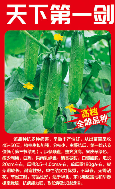 天下第一劍 天下第一劍