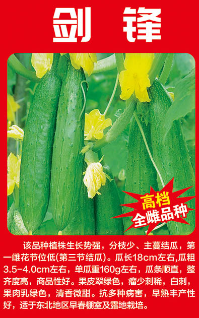 劍鋒 劍鋒