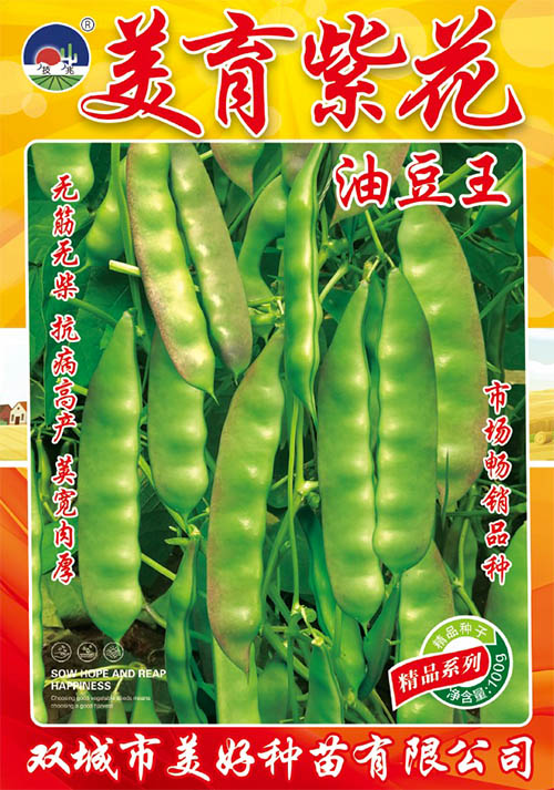 美育紫花油豆王 美育紫花油豆王